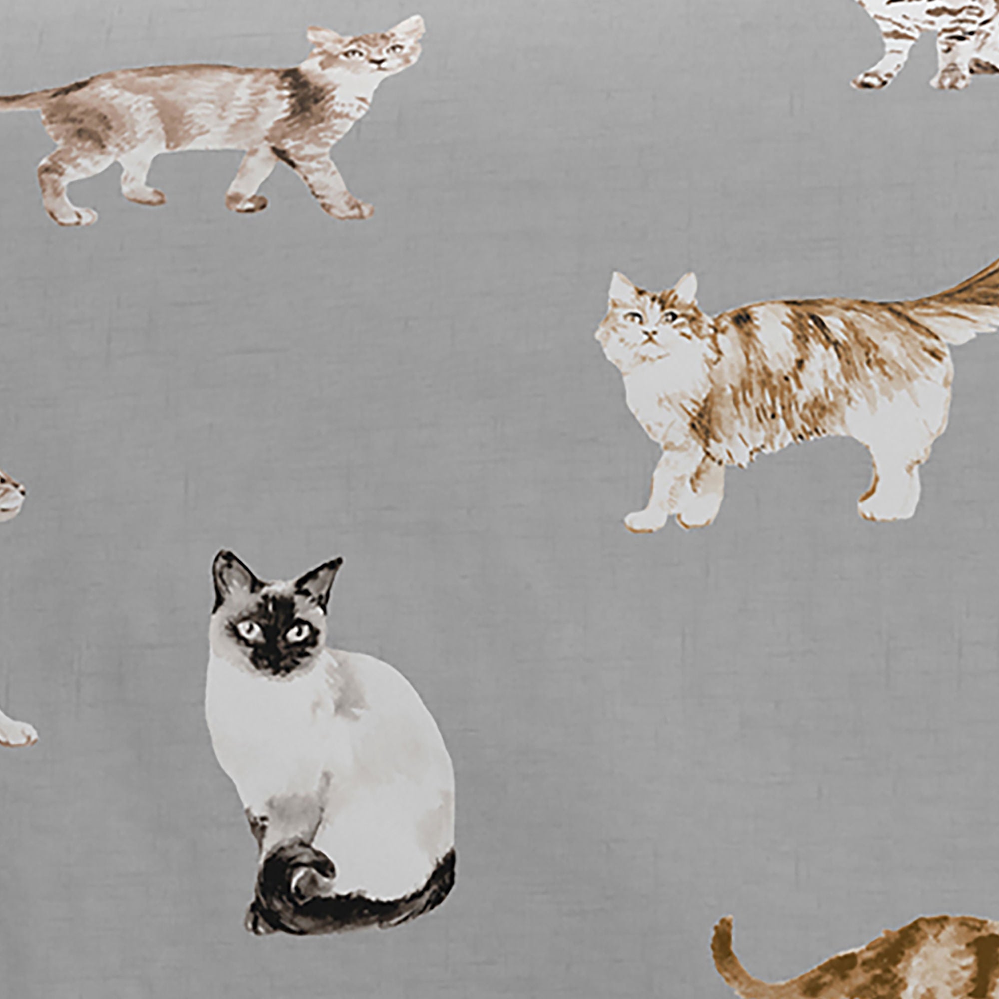 Cats Duvet Cover Set by Fusion in Grey - Duvet Cover Set - Fusion